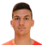 杜杰·杜伊莫维奇球员数据